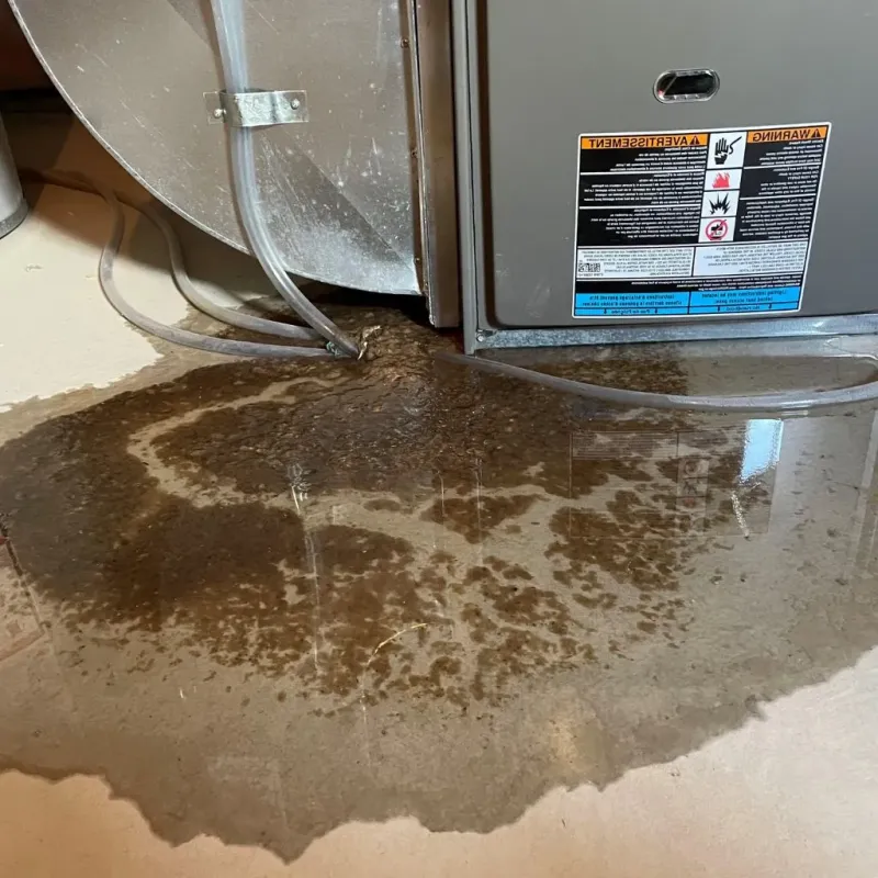 Pipe Burst and Leak Restoration in Canandaigua, NY